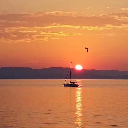 Pieds Dans L'eau * Hyères